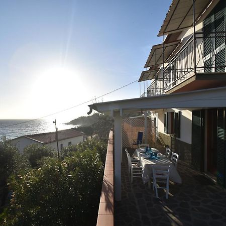 Appartamenti Cavoli - Vista Mare Con Terrazze, Clima E Posti Auto Spiaggia di Cavoli Dış mekan fotoğraf